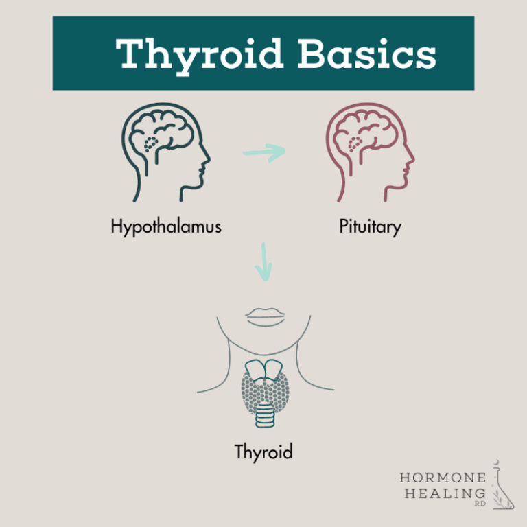 Thyroid Health Part1 Thyroid Basics Hormone Healing RD