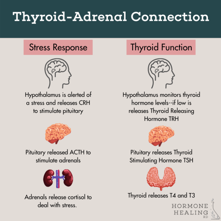 Thyroid Health Part-2: Stress, Cycles & the Pill | Hormone Healing RD