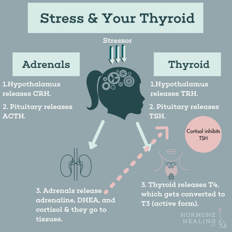 Why Does My Thyroid Look Normal But I Have Clear Hypothyroid Symptoms ...