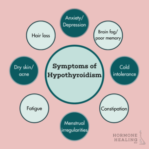 Thyroid Health Part-1: Thyroid Basics 