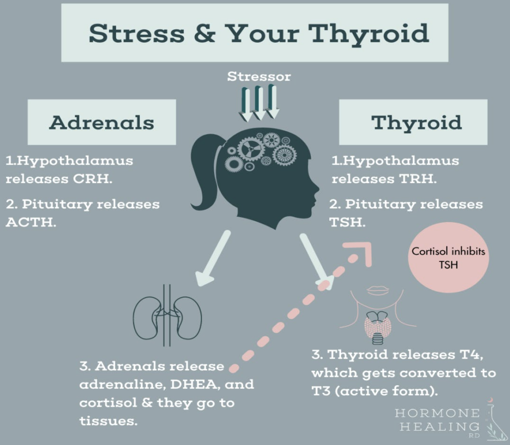 Getting To The Root Of Headaches & Migraines | Hormone Healing RD